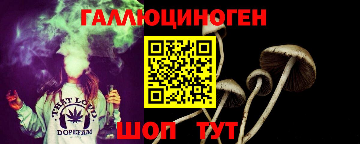 Грязи  Галлюциногенные грибы Magic Shrooms  цена наркотик  Вход с VPN 